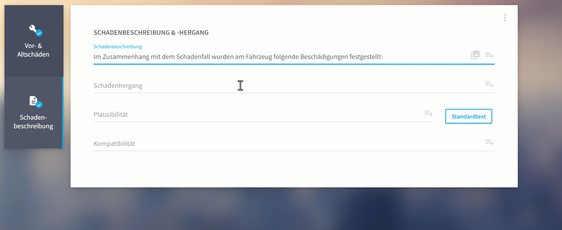 Schadenbeschreibung aus Fotobeschreibung generieren.gif