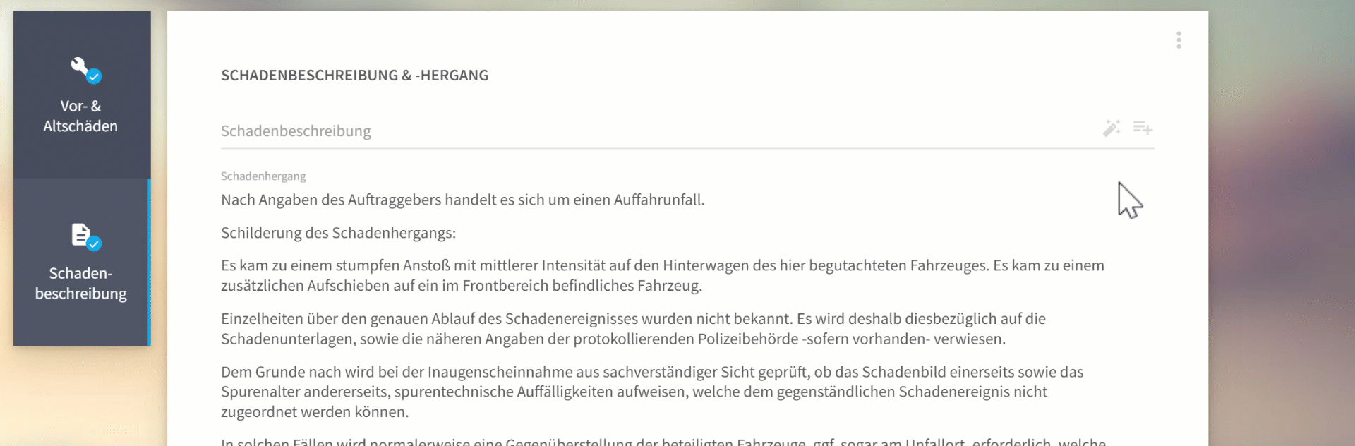 Schadenbeschreibung per KI erzeugen.gif