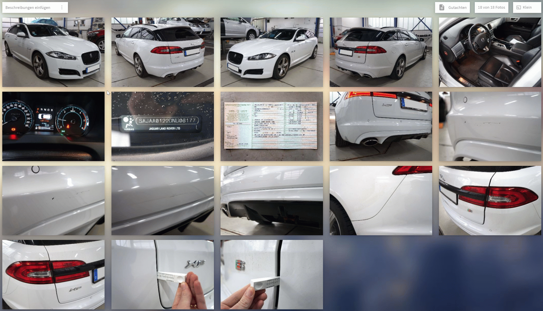 Bilder_automatisch_beschriften.gif